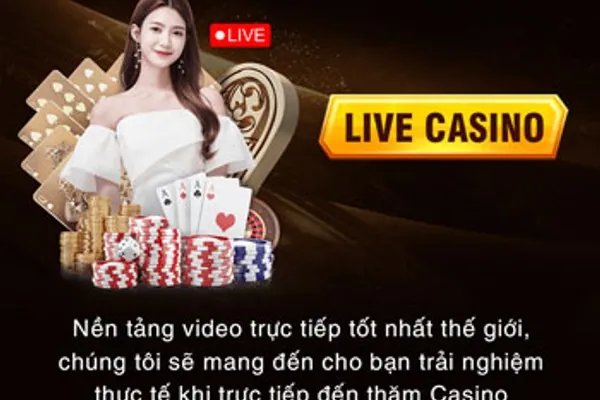 Dealer chuyên nghiệp và xinh đẹp