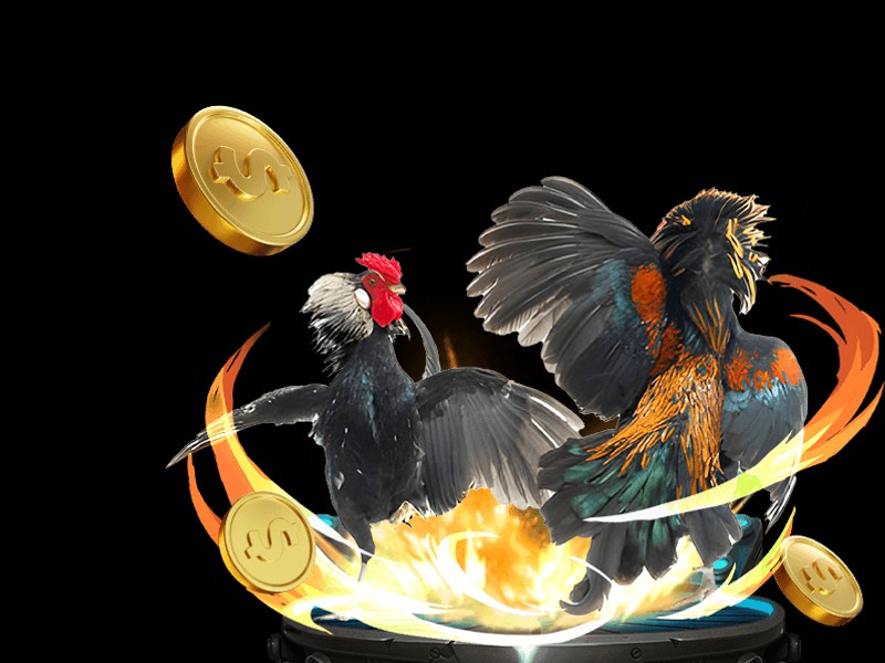 Game Dragon Tiger trực tuyến Zowin